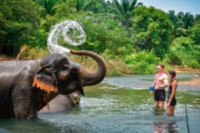 An elephant sprays water with its trunk while standing in a river next to two tourists in a lush jungle setting.